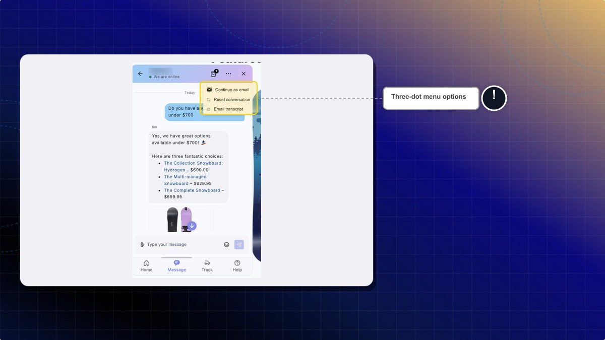 Three-dot menu open in the chatbox header